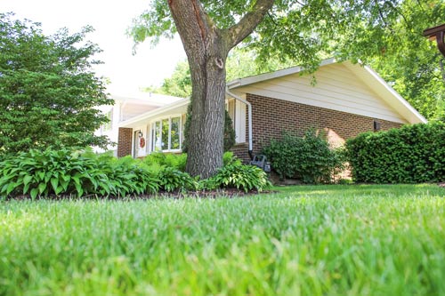 Lawn Care, Lawn Maintenance, Weed Control, Fertilizer,Mulching